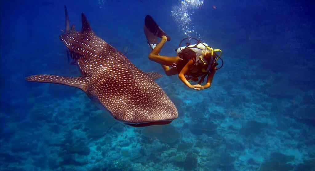 Batuta Maldives Surf View Hotel Thulusdhoo Kültér fotó